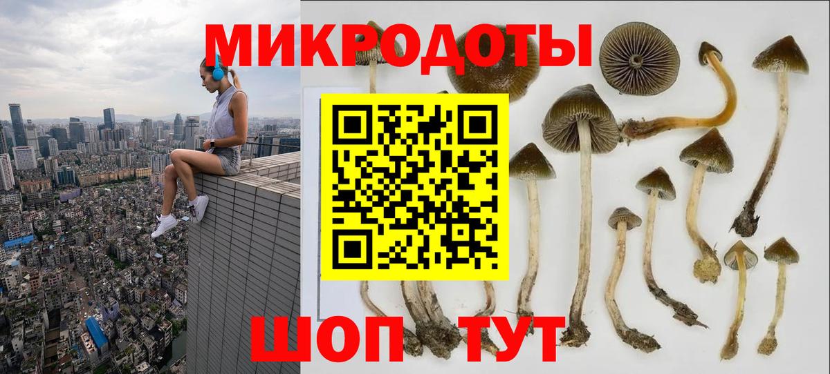 Галлюциногенные грибы GOLDEN TEACHER Димитровград