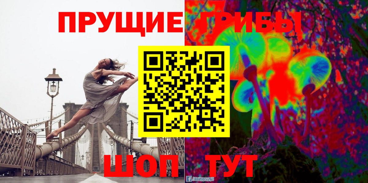 Димитровград  Галлюциногенные грибы прущие грибы  Вход с VPN 
